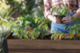 Deco Elevated Garden Bed