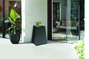 Flora duo Black