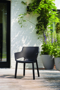 EVA CHAIR