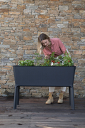 Full Bloom (flat rattan)